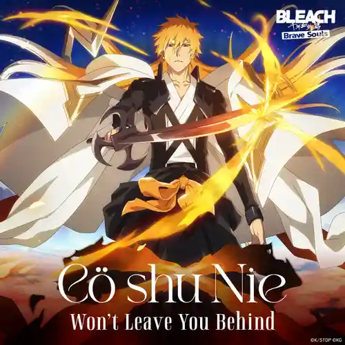 Bleach: Brave Souls 10th Anniversary Theme Song - Won't Leave You Behind cover